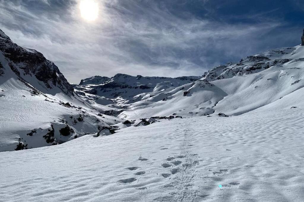 Studio Cabine Piau-Engaly Au Pied Des Pistes Aragnouet Eksteriør billede